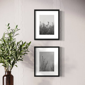 Desert Flower Black & White Prints, Set of 15 - Best Coast Prints