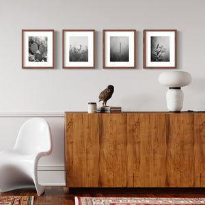 Desert Flower Black & White Prints, Set of 15 - Best Coast Prints