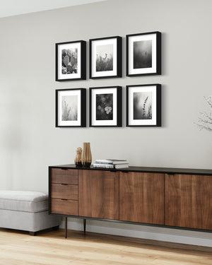 Desert Flower Black & White Prints, Set of 15 - Best Coast Prints
