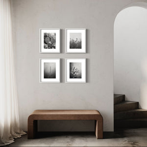 Desert Flower Black & White Prints, Set of 15 - Best Coast Prints