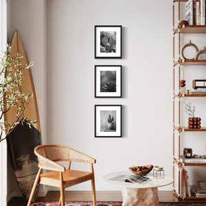 Desert Flower Black & White Prints, Set of 15 - Best Coast Prints