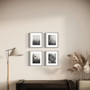 Desert Flower Black & White Prints, Set of 15 - Best Coast Prints