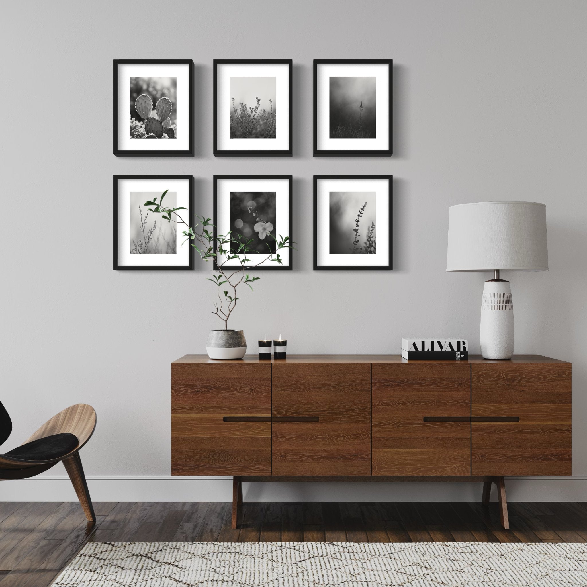 Desert Flower Black & White Prints, Set of 15 - Best Coast Prints
