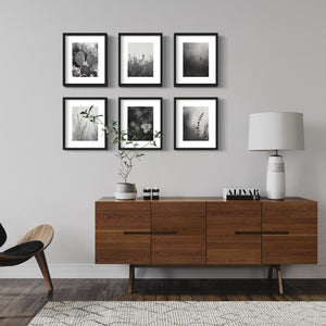 Desert Flower Black & White Prints, Set of 15 - Best Coast Prints